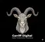 Carriff Digital Logo